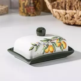 Маслёнка доляна