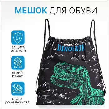 Мешок для обуви на шнурке, цвет черный/зеленый