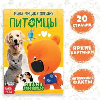 Мини-энциклопедия