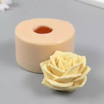 Молд