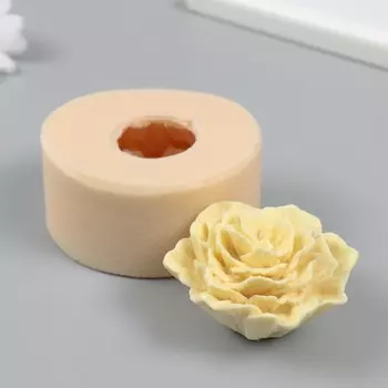 Молд