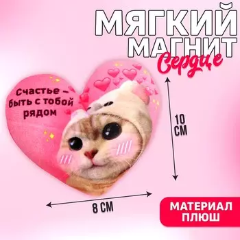 Мягкий магнит