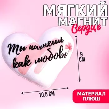 Мягкий магнит