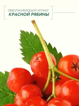 Мыло жидкое для рук, увлажнение и забота, аромат рябины, 250 мл, рябина