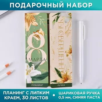 Подарочный набор, планинг-стикеры 30 листов, ручка пластик