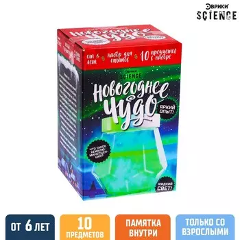 Новый год. набор для опытов