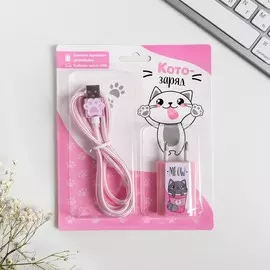 Набор кабель usb - micro usb и штекер