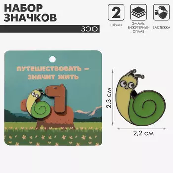 Набор значков (2шт)