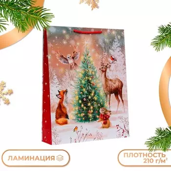 Пакет подарочный