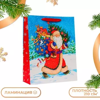 Пакет подарочный