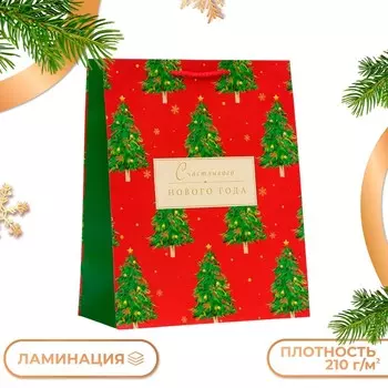 Пакет подарочный
