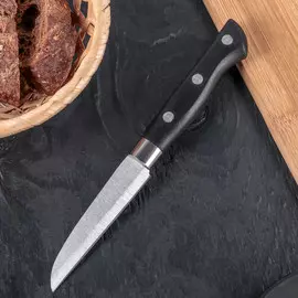 Нож для овощей доляна