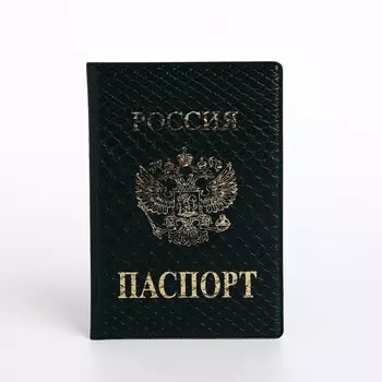 Обложка для паспорта, цвет зеленый