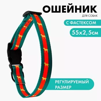 Ошейник