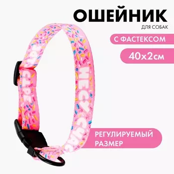 Ошейник