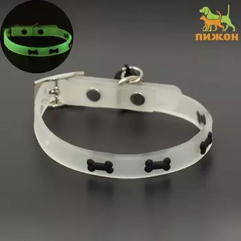 Ошейник, светящийся в темноте,