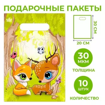 Пакет