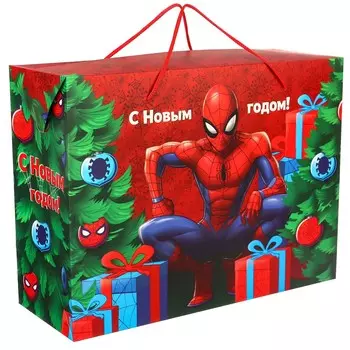 Пакет подарочный-коробка