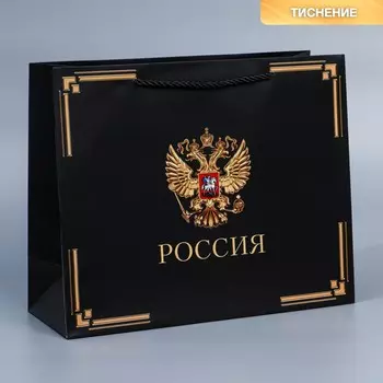 Пакет подарочный, упаковка,
