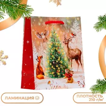 Пакет подарочный