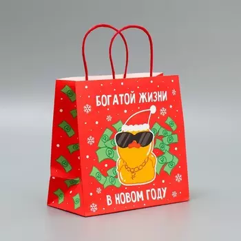 Пакет подарочный новогодний крафтовый