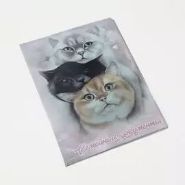 Папка для документов, 4 комплекта, цвет розовый