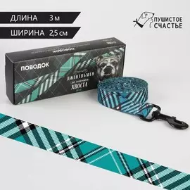 Поводок