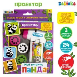Проектор