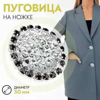 Пуговица декоративная, d = 30 мм, цвет серебряный/черный