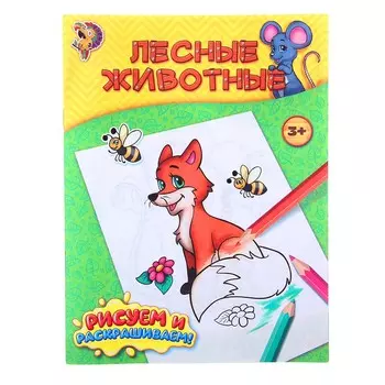 Раскраска