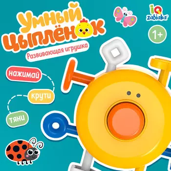 Развивающая игрушка