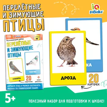 Развивающий набор