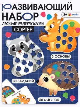 Развивающий набор