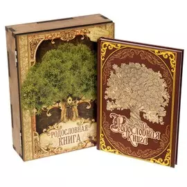 Родословная книга в шкатулке