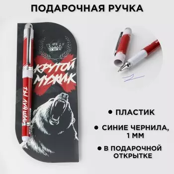 Ручка шариковая пластиковая в открытке