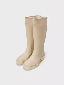 Сапоги