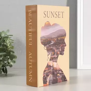 Шкатулка книга-сейф