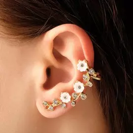 Серьга