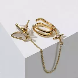 Серьга