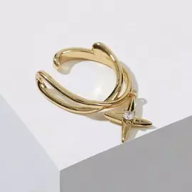 Серьга