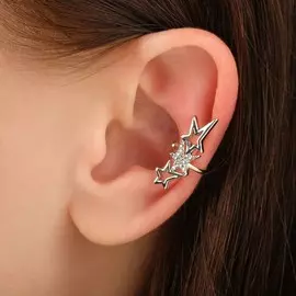 Серьга