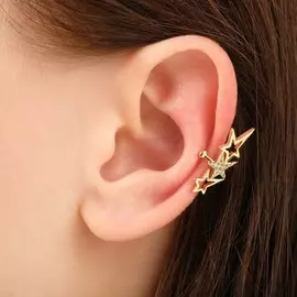 Серьга
