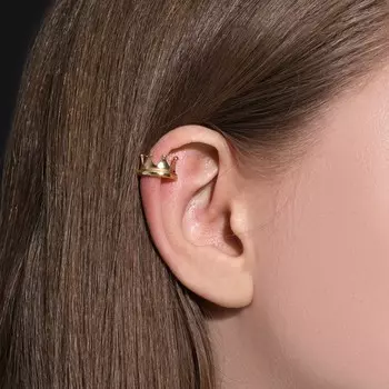 Серьга