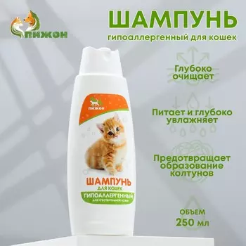 Шампунь