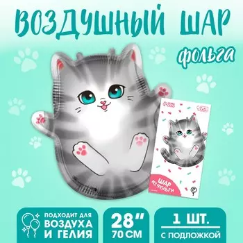 Воздушный шар фольгированный 28