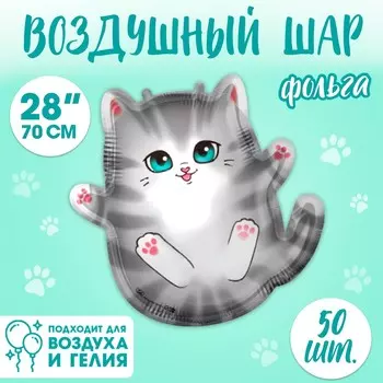 Воздушный шар фольгированный 28