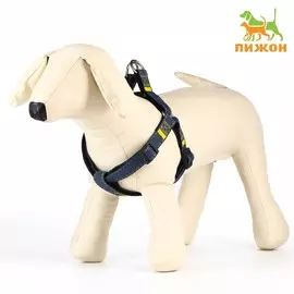 Шлейка