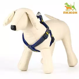 Шлейка