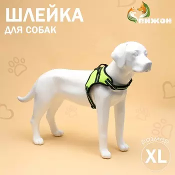Шлейка улучшенная к7 мягкая светоотражающая, размер xl, ог 74-92 см, вес 28-47.5 кг, зеленая