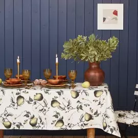 Скатерть